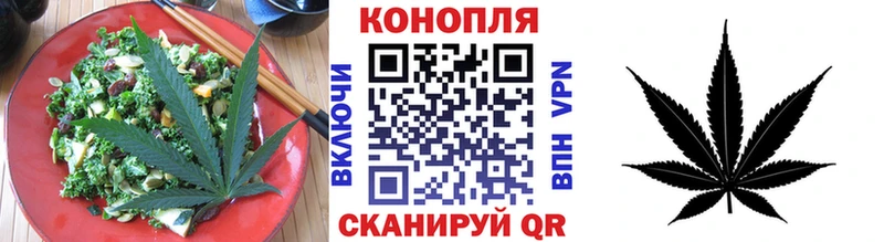 дарнет шоп  Нелидово  Cannafood конопля 